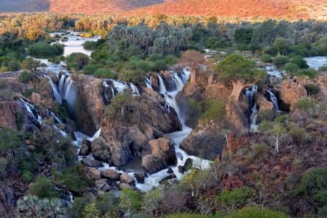 NATURE, LA BIODIVERSITÉ DANS TOUS SES ÉTATS